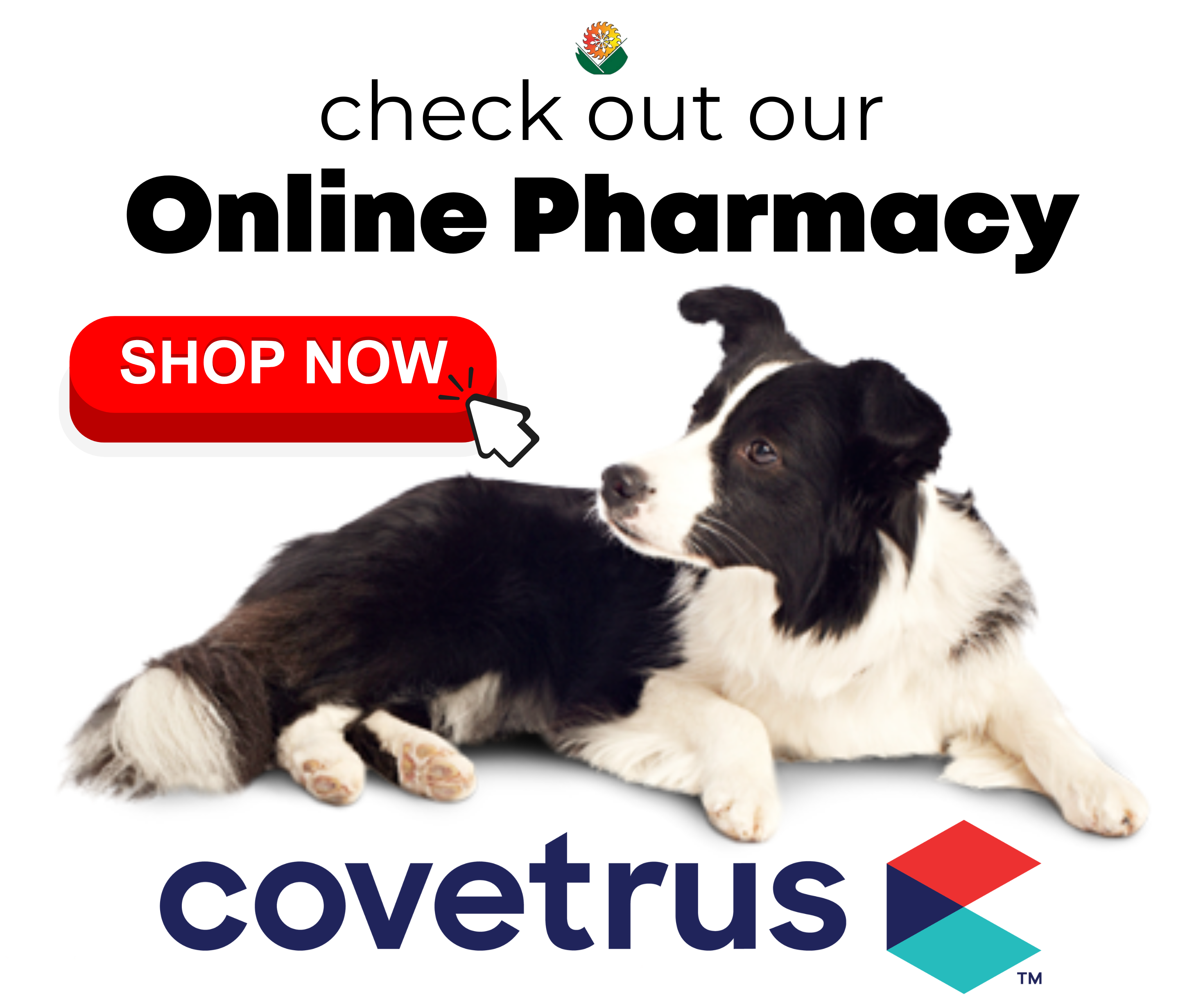Online Pharmacy Link
